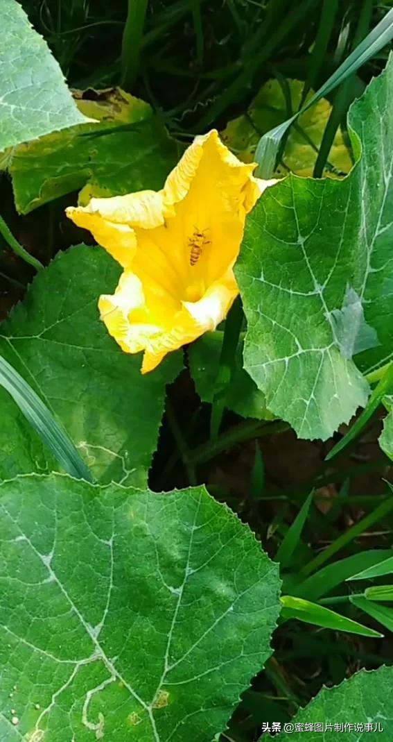 美美美的，美美美的表情包（壁纸美图）