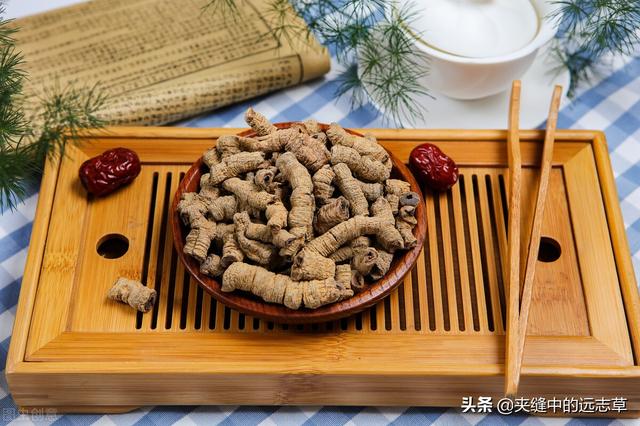 茯苓是热性还是凉性，茯苓是热性的吗（送你五味中药）