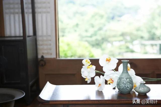 空谷幽兰的意思，空谷幽兰是什么意思（幽兰，清雅）