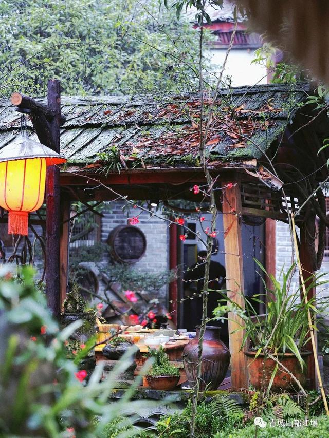 青城山旅游，青城山旅游图（赏千年银杏、观层林尽染、泡山间温泉......顶奢配置慢生活尽在青城山～）