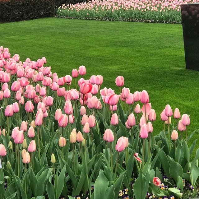 朋友圈图片，朋友圈图片折叠是怎么回事（分享一些治愈又个性的朋友圈背景图）