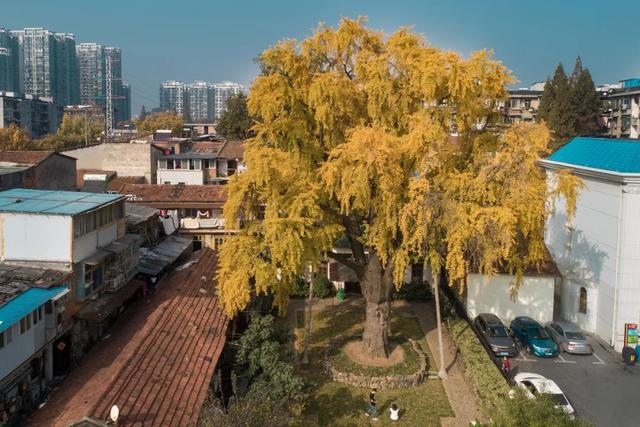 武汉最繁华的商业街，武汉最繁华的商业街在哪里（武汉两条步行街）