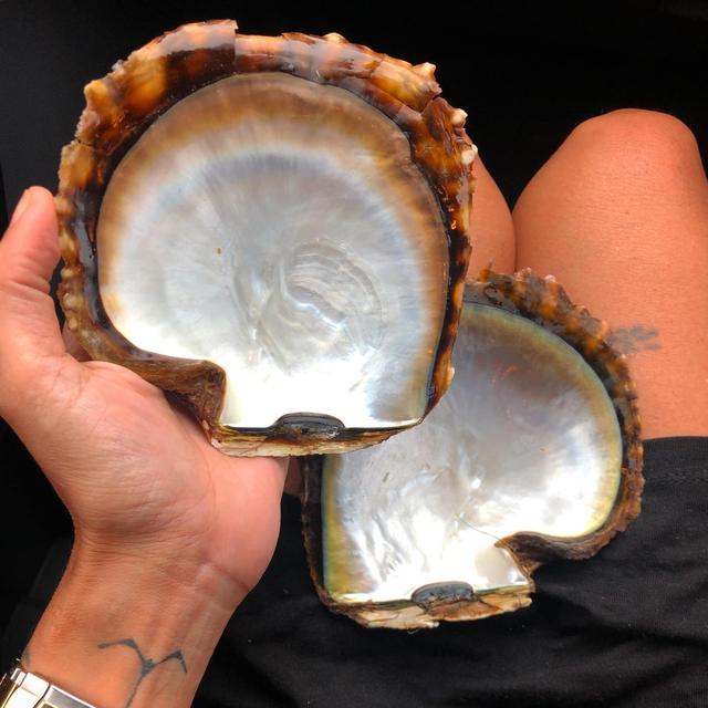 珍珠的形成过程，河蚌体内珍珠的形成过程是（探秘珍珠颜色的形成）