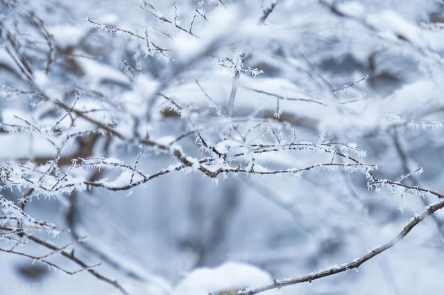 关于下雪的唯美句子，适合下雪天的唯美句子（25句描写雪景的唯美诗句）