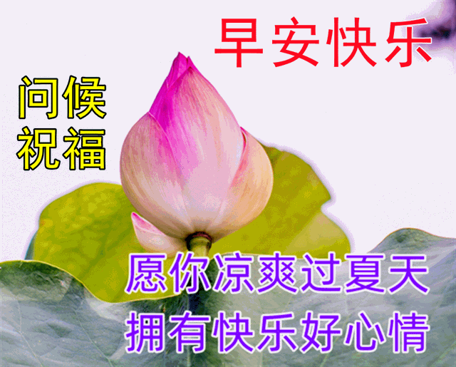 6字唯美短句，爱情的句子唯美短句（夏日天热防暑温馨早上好日常祝福语精选）