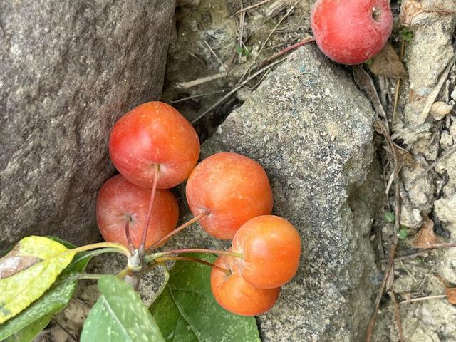 灵魂相似的人一旦相逢，灵魂相似的人一旦相逢是知心朋友（总有一天会在路上相逢）