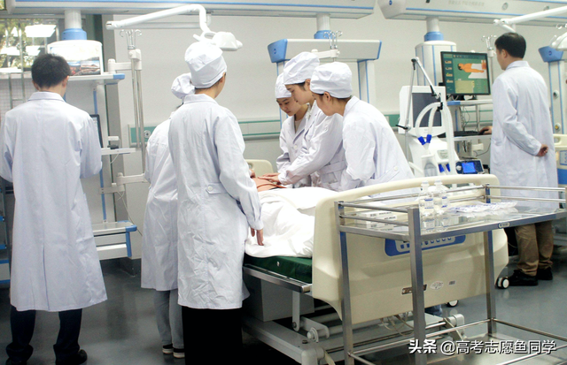 女生适合学动物医学专业吗，女生学动物医学好吗（“性格内向”女生适合的5类专业）