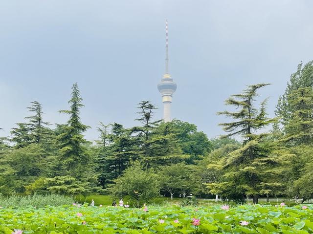 北京湿地公园有哪些景点好玩，北京公园推荐︱10个值得一去的免费公园