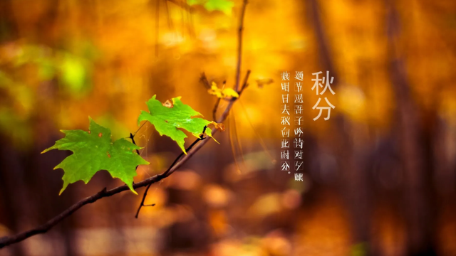 国际家庭日祝福语，国际家庭日寄语（秋分养生祝福语大全）