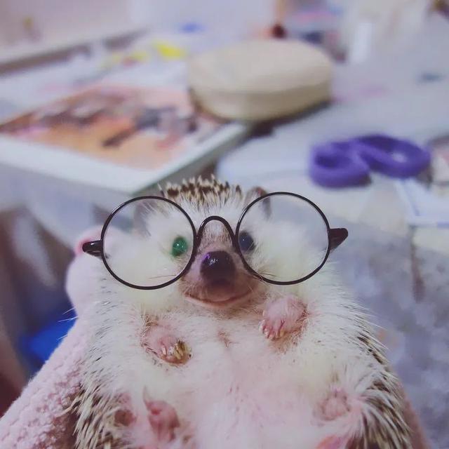 手机开机密码忘了怎么强制解锁，手机开机密码忘记了怎么解锁（有多少花式解锁手机的方法）