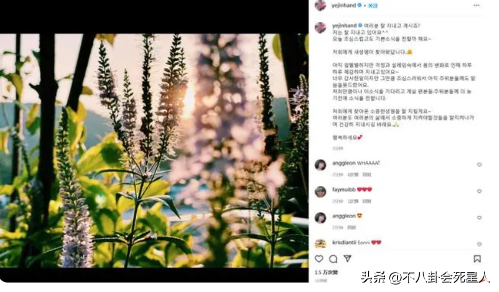 2022年注定离婚的属相男，2022年必定离婚的四大生肖男（2022年明星“婚姻榜”）