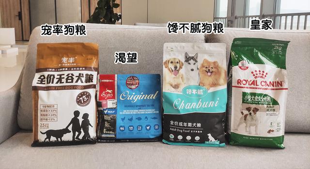 狗一般能活多久，猫和狗一般能活多久（这几种狗寿命很长）