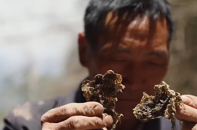 燕窝的价格，燕窝的价格表（贵的一斤卖2万6,两个儿子不愿意学,手艺即将失传）