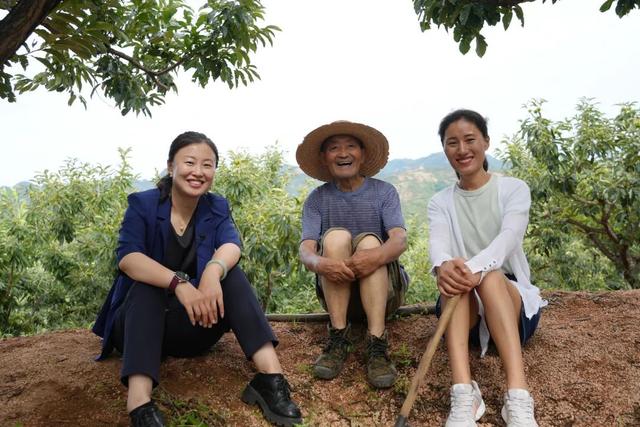 梦到下牙掉了好几颗，梦见下面牙齿掉了好几颗（阿里和它的27名乡村特派员）