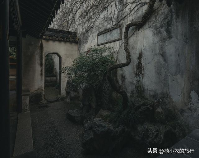 苏州旅游攻略精致的几个园林，最值得去逛的8个园子