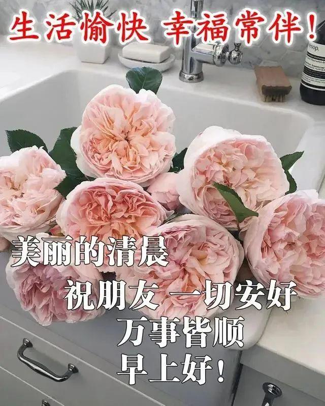 早安语录正能量短句，早安语录正能量短句100字大全（正能量简单语录句子）