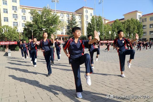 学习传统武术的好处，学中国武术的好处（常年习武，有益身心，好处多多）