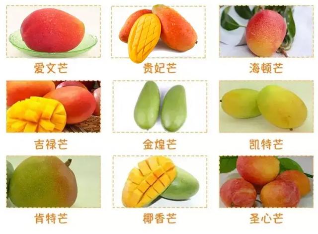 贵妃芒和水仙芒哪种好吃，软糯香甜还是甜蜜爆汁（贵妃芒和水仙芒区别）