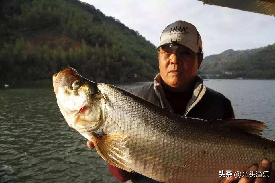 四,钓翘嘴的线组