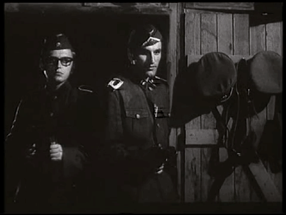 米莱的扮演者是谁，米莱 扮演者（《黑名单上的人》当年万人空巷）