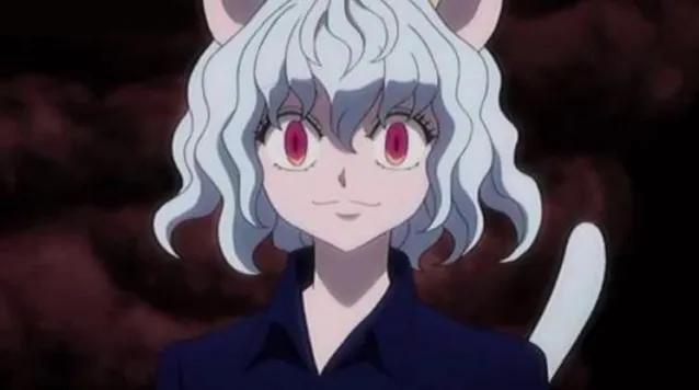 全职猎人人物介绍，漫画全职猎人人物介绍（《全职猎人》会长能打赢猫女吗）