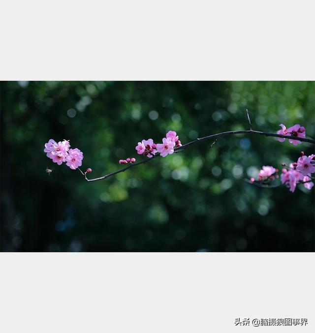 高光质感背景图，高清高级感背景图（若有这6个错误的深色背景照片）