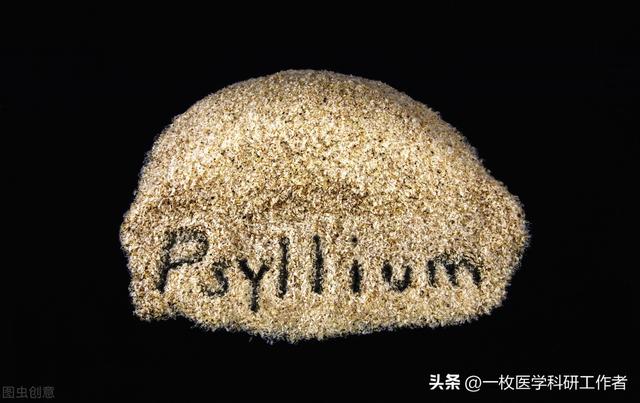 冬枣的功能与作用，冬枣的功效与作用（小小的身体蕴含丰富的营养和能量）