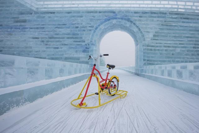 哈尔滨海洋极地馆，哈尔滨极地海洋馆内部（哈尔滨极地公园·极地馆）