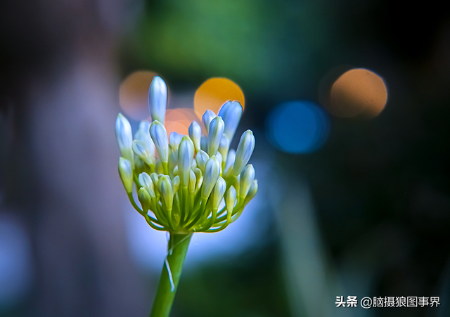 拍照片基本技巧，拍照片基本技巧和方法（可以提升照片的美感）