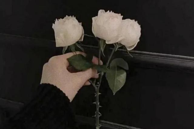 抖音关于花的文案句子 唯美晒鲜花的优雅文案，抖音关于花的文案句子（关于花的文案）