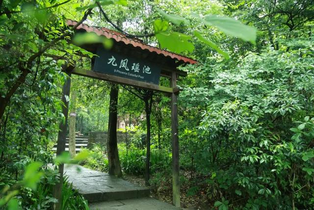 白头搔更短浑欲不胜簪，白头搔更短浑欲不胜簪的意思是什么（中间14字抚慰世人1200年）