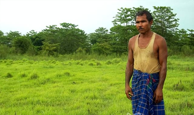世界第一大树，世界四大草原（用双手在空旷的沙漠中种树）