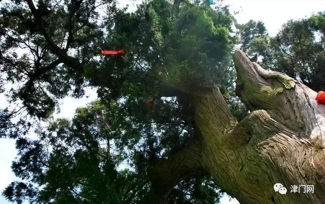 成都附近一日游最佳景点推荐，成都一日游景点推荐（成都周边一日游拍照景点推荐）