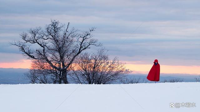 暖阳图片，冬日暖阳（《冬日暖阳》木若水/辽宁）