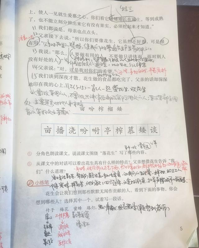 落花生的作者是谁，落花生的写作手法（五年级上册语文《落花生》一课）