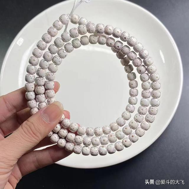 星月菩提是什么，星月菩提是什么意思（玩星月菩提的朋友请进）