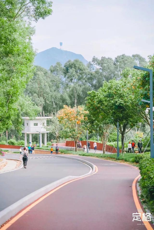 深圳徒步路线推荐，深圳海滨栈道徒步最佳路线（深圳10条徒步路线）