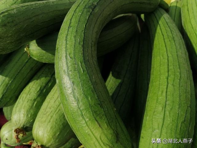 入伏了，这5样食材别忘吃，入伏吃啥饺子（2022年入伏时间表）