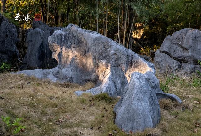 景德镇旅游景点必去，景德镇旅游景点必去南山（一定要去的N个地方...）