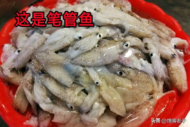 青岛9月份开海，开海时间（来青岛别只会吃大虾）