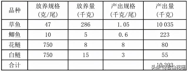 草鱼的养殖方法，草鱼健康高效养殖技术探索