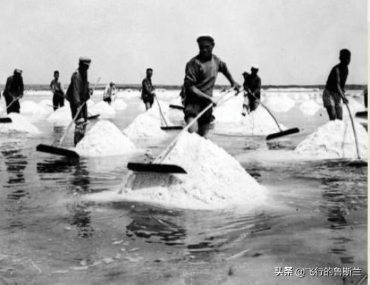 工业盐的作用，工业用盐 用途（浅谈抗战时期我党边区政府的工业化发展）