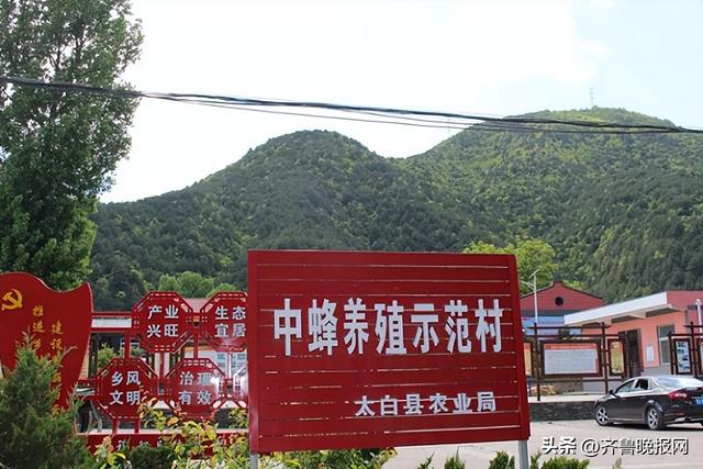 怀孕不能吃的东西有哪些，怀孕中有哪些坚决不能吃的东西（一起来看看孕妇吃蜂蜜好不好）