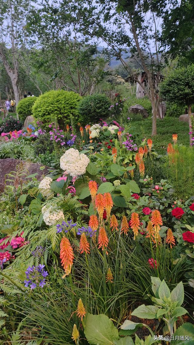 深圳市仙湖植物园，深圳仙湖植物园适合夏天逛吗（深圳仙湖植物园现场实拍图来了）