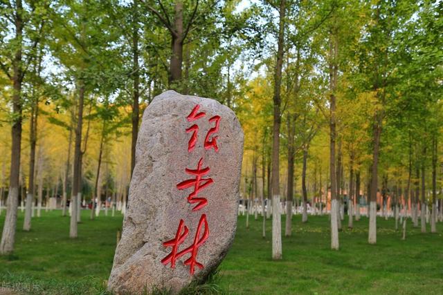 兰州理工大学是一本还是二本，兰州理工大学是一本还是二本【几本大学】（6所化工类大学）