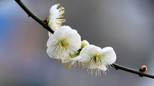 10月份是什么星座，10月份的是什么星座（奔向幸福的三大星座）