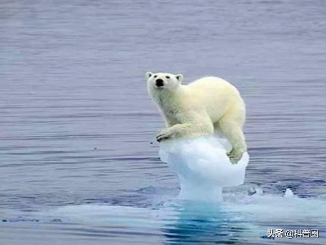 霍金预言:十大预言，霍金预言:四大预言已实现二个（霍金的6个可怕预言）