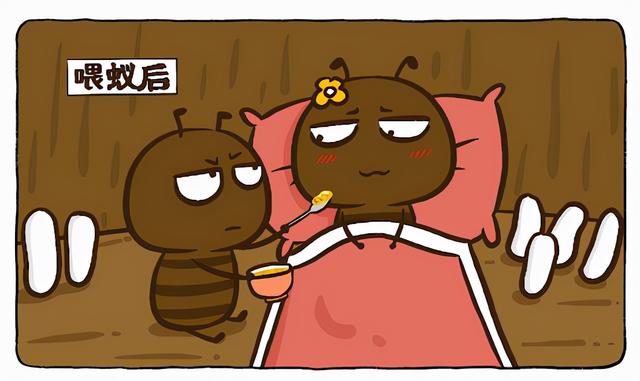 酒精能杀死蚂蚁吗，一只被带去几十公里外的蚂蚁