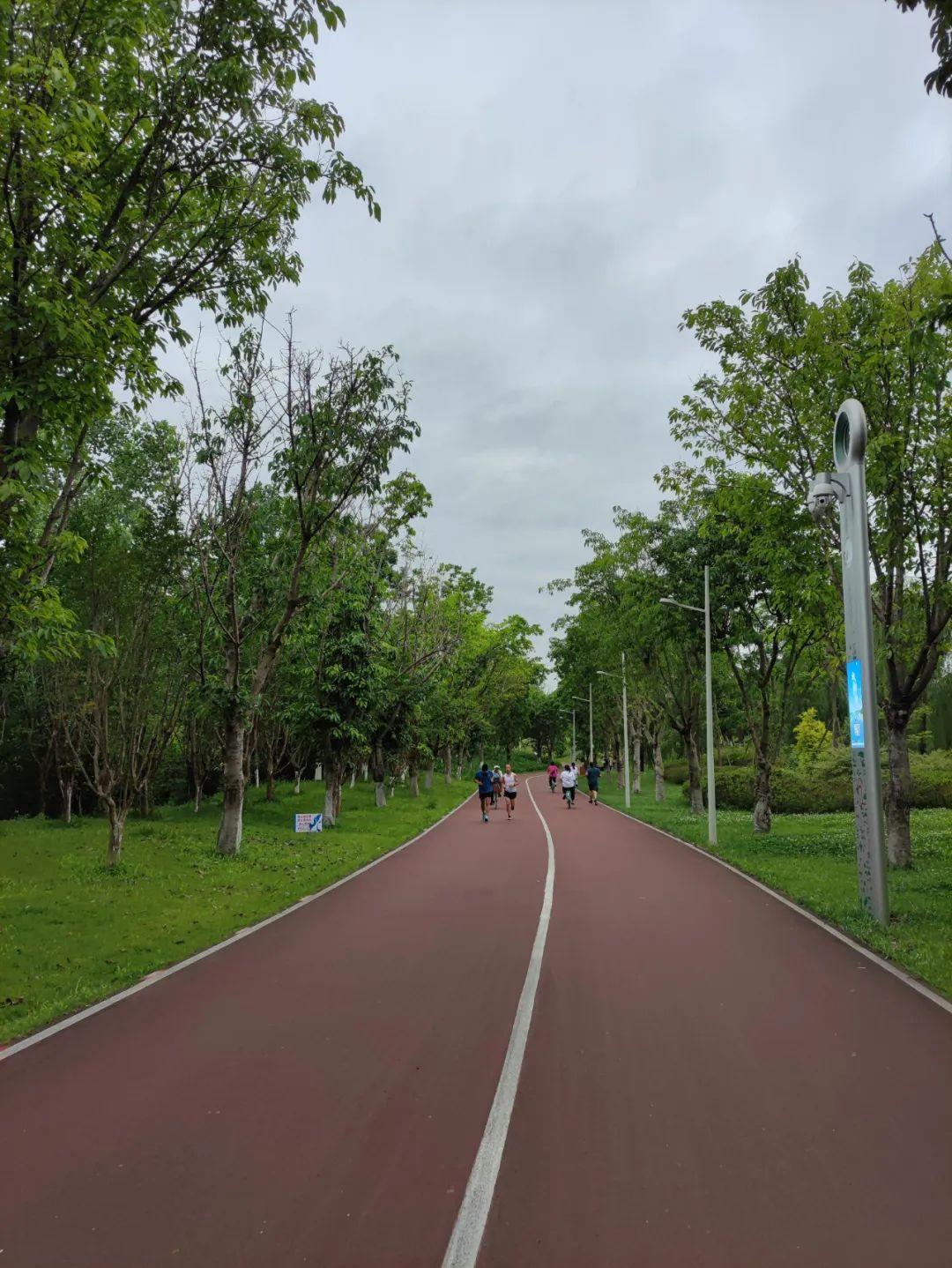 成都天府绕城绿道最美的风景，亲测：天府绿道骑行104公里