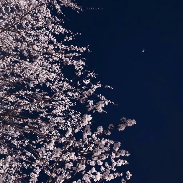 逼图，微信头像，逼图（微信头像+背景图片2022最火爆）